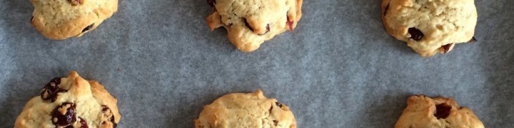 Cranberry Cookies