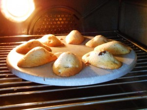 Madeleine Cookie Recipe Madeleines Baking | kipkitchen.com #recipe #food #chocolate #paris